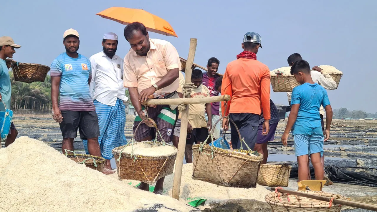 উপকূলজুড়ে এখন ‘সাদা সোনা’ খ্যাত লবণের ভরা মৌসুম